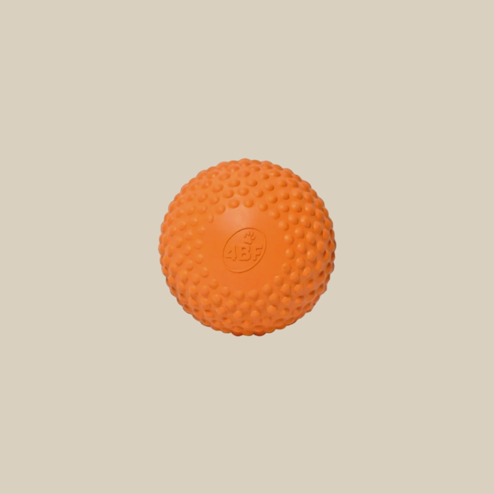 Bumpy Ball Orange