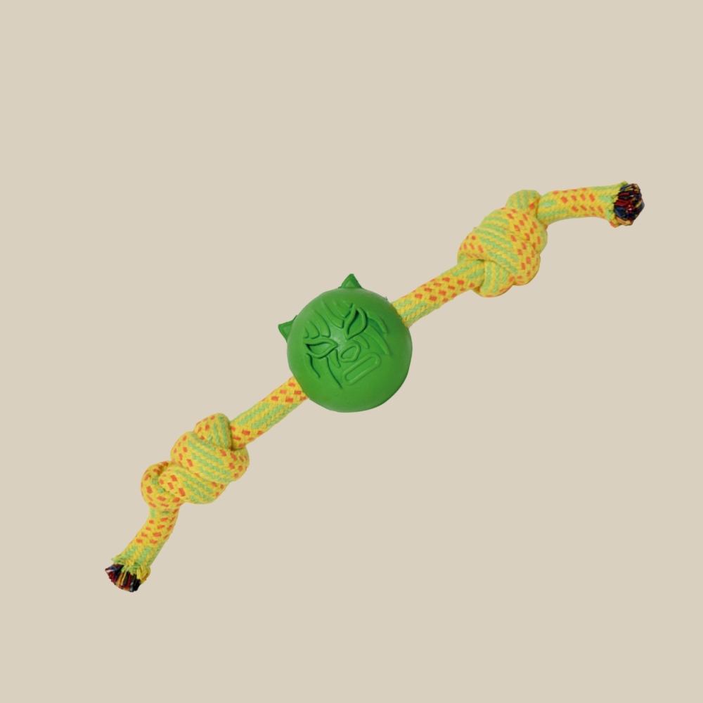 Mask Collection Green