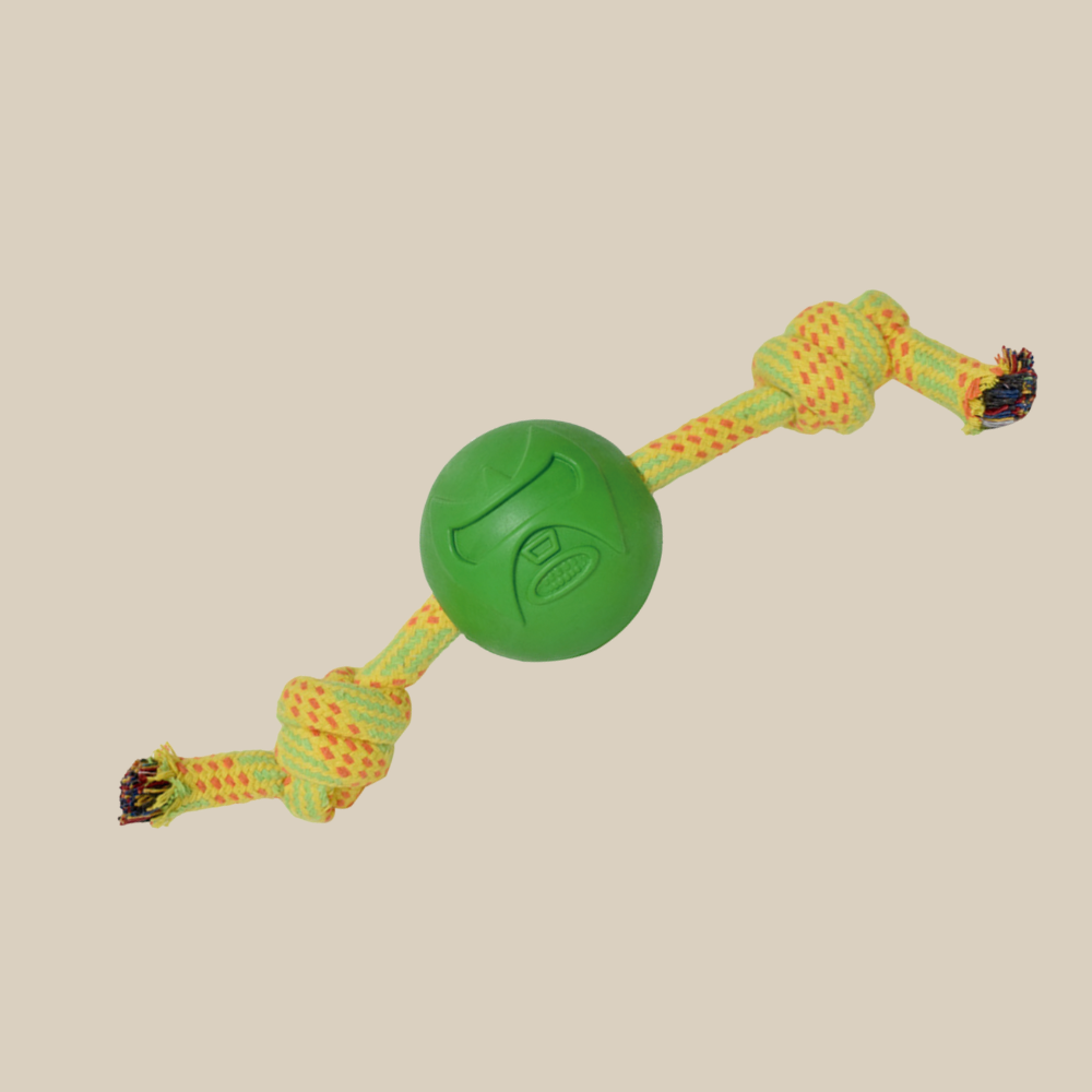 Mask Collection Green