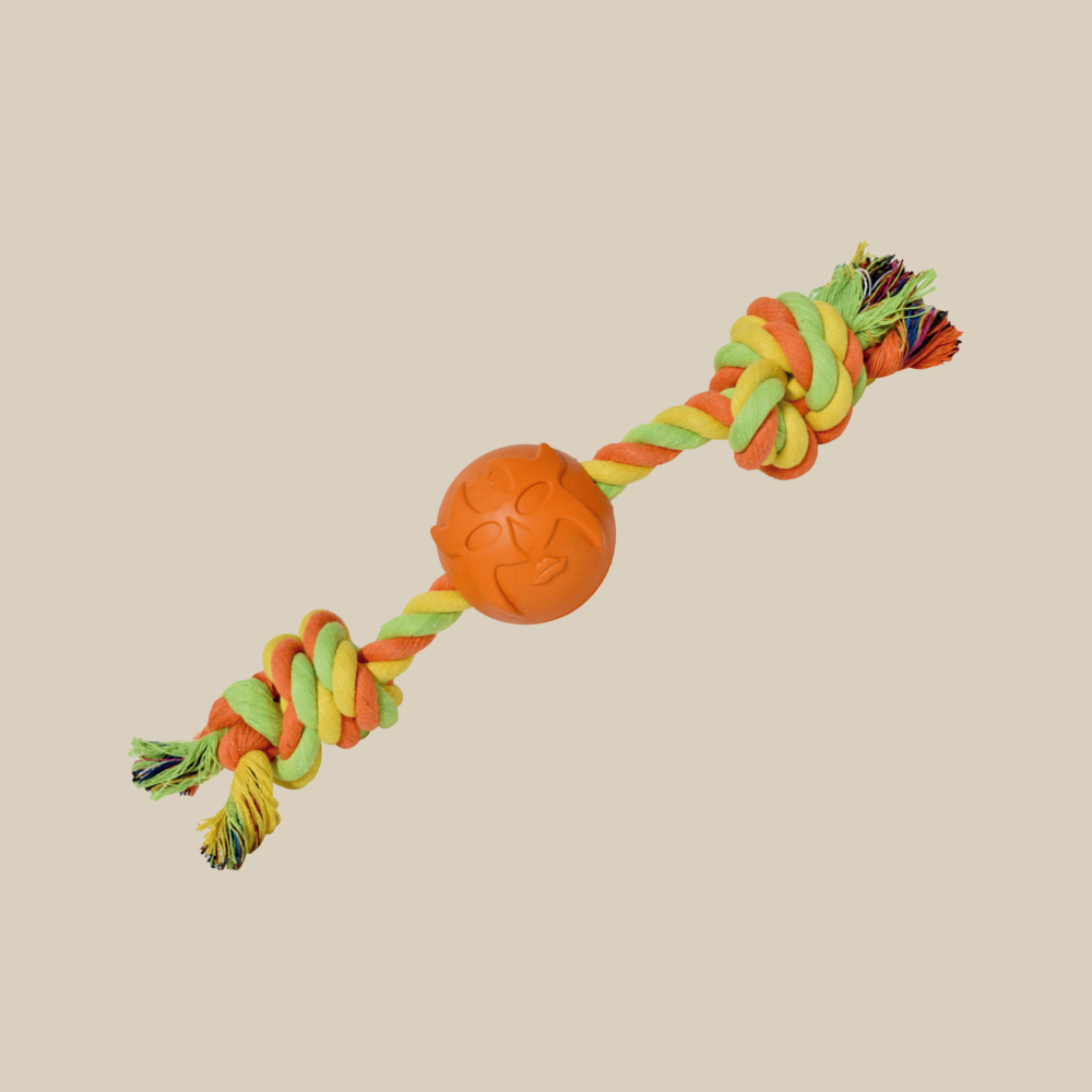 Mask Collection Orange