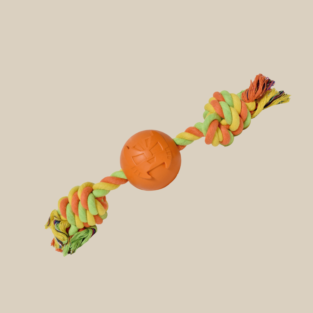 Mask Collection Orange