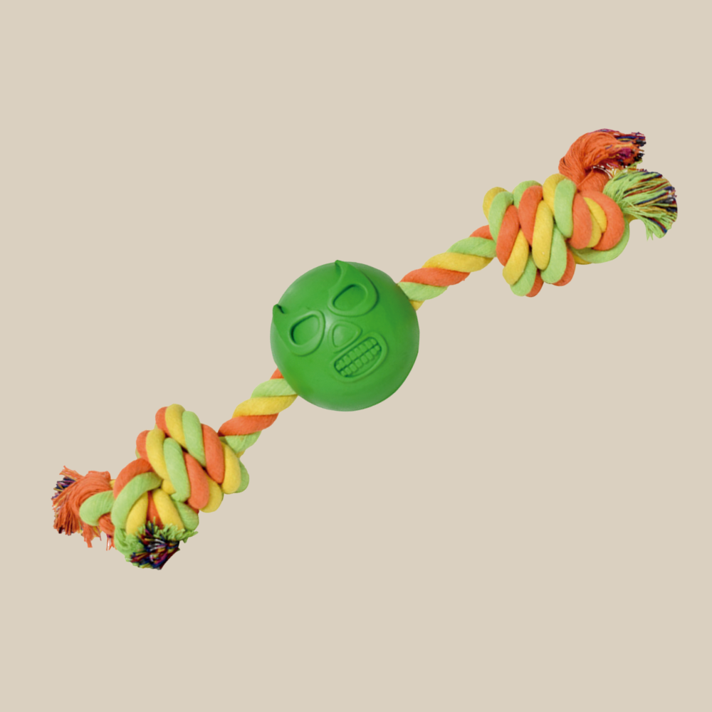 Mask Collection Green