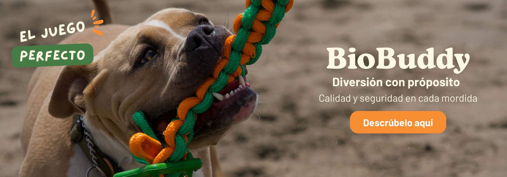 slider image slider_item_JATH36