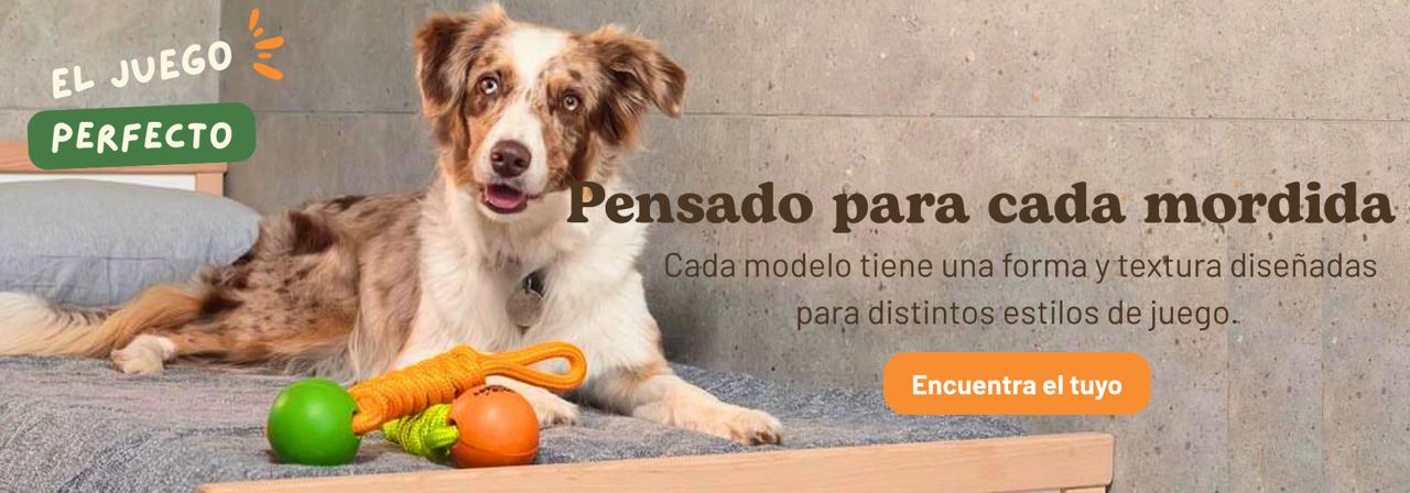 slider image slider_item_mdrFm4